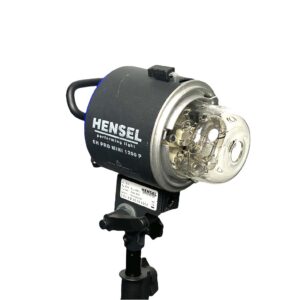 Flash head EH Pro 1200P for Porty used